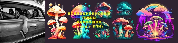 PSILOCYBIN Горно-Алтайск